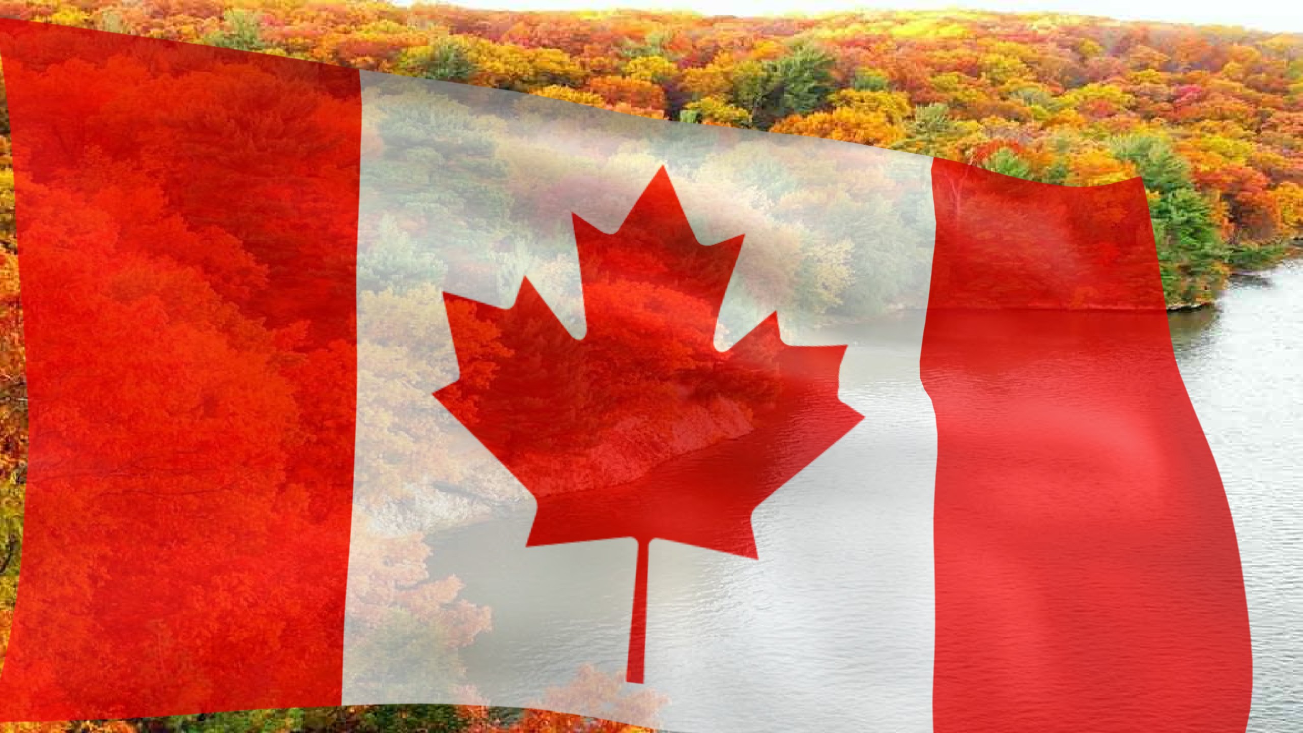 Moving Flag Animated Background
