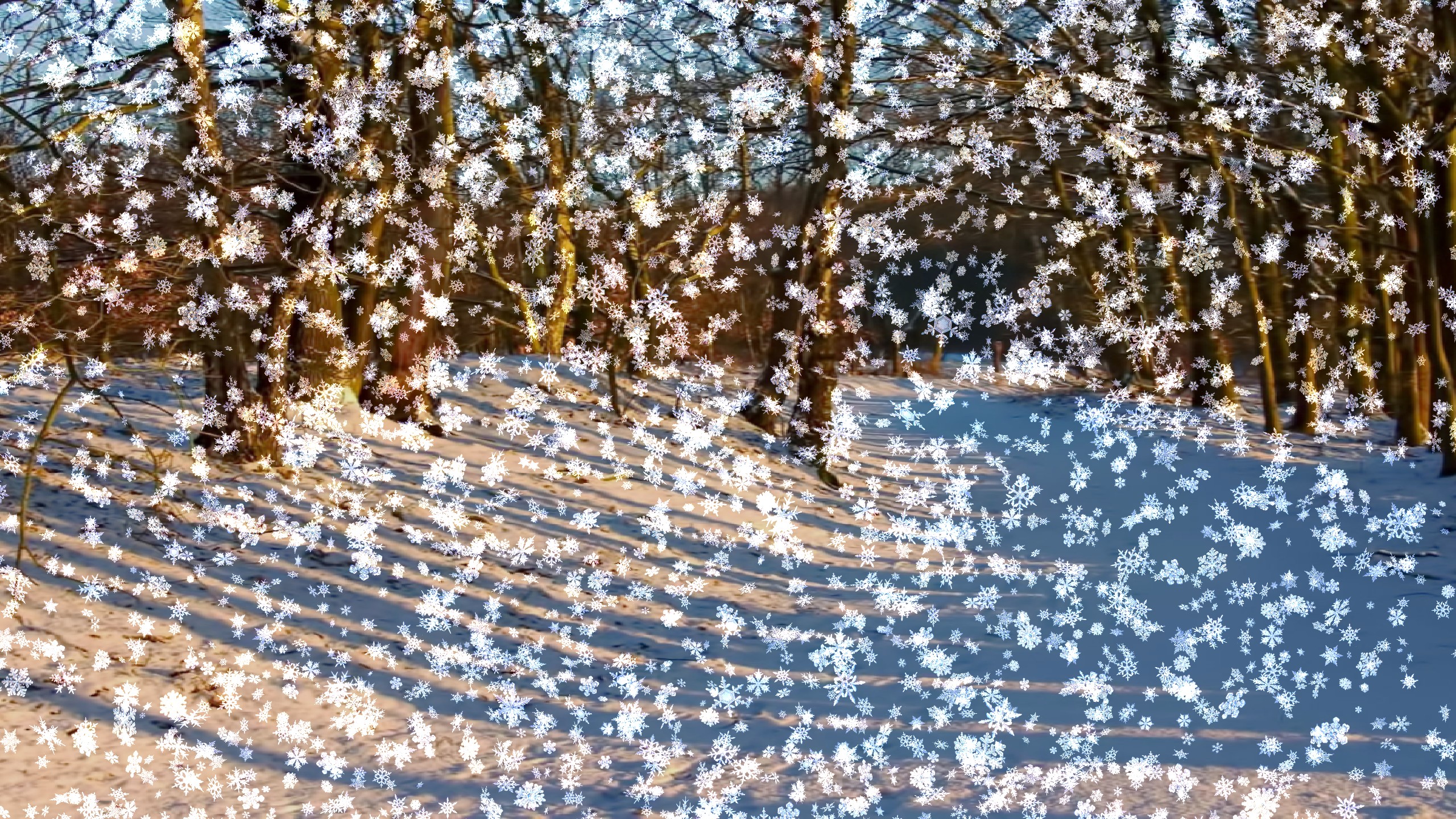 Snow Desktop Moving Background