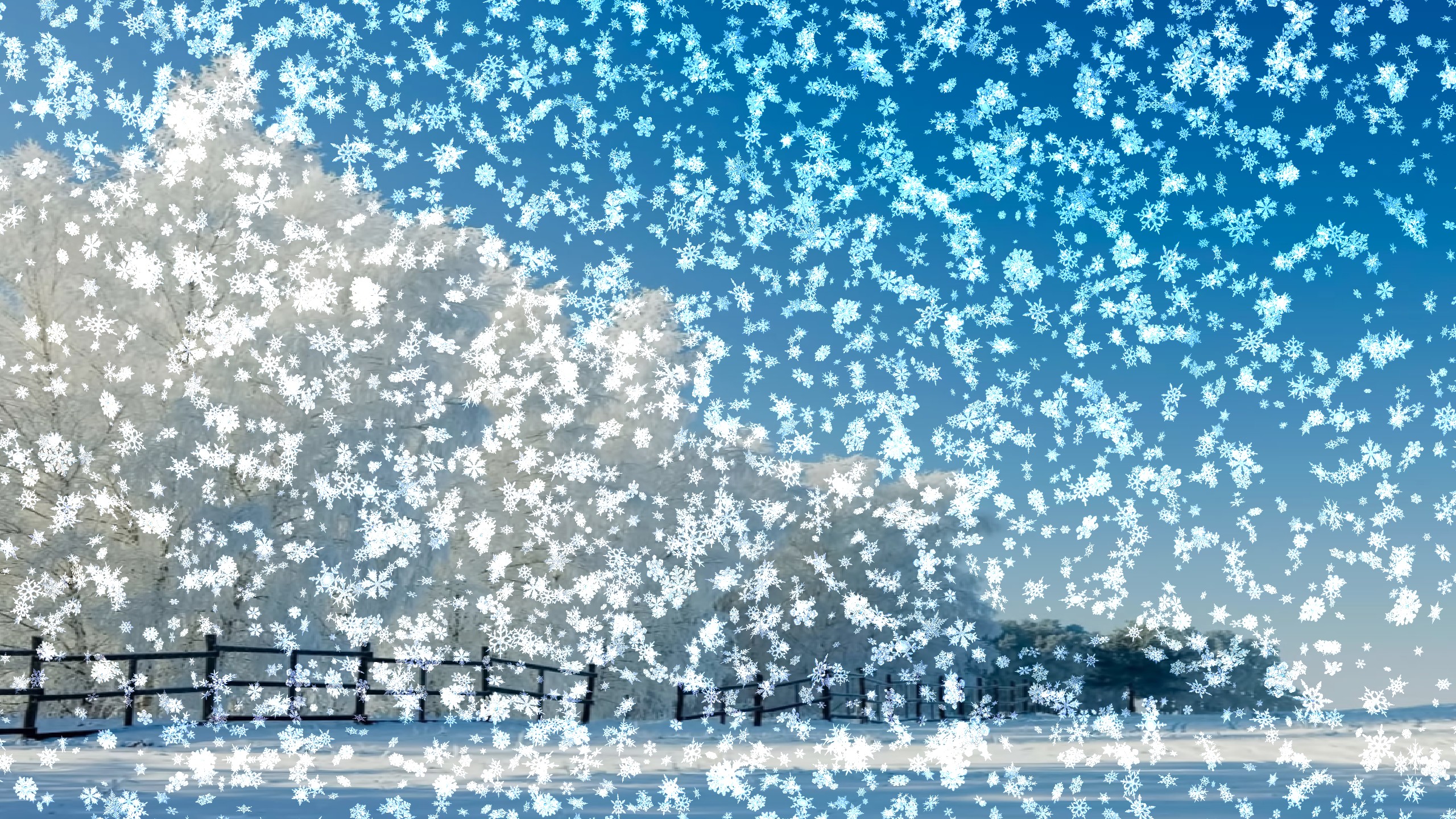 Snowy Animated Desktop Background