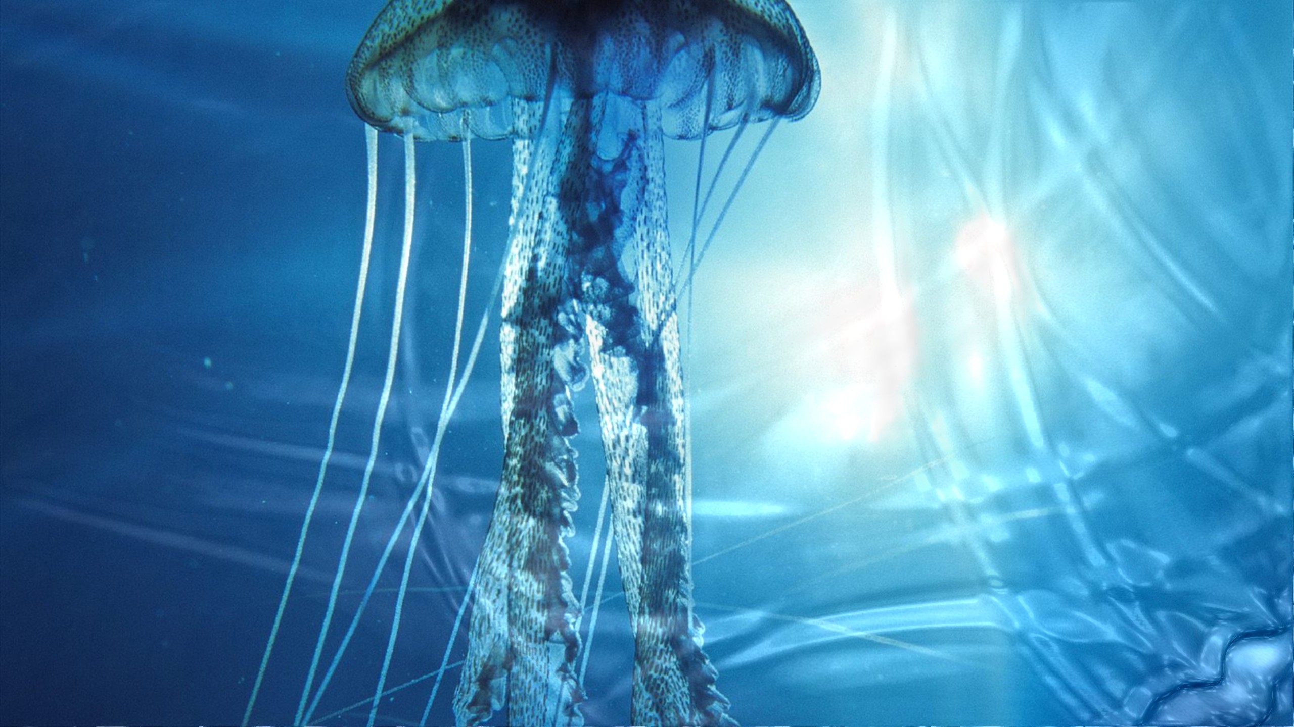 Water On Desktop Background