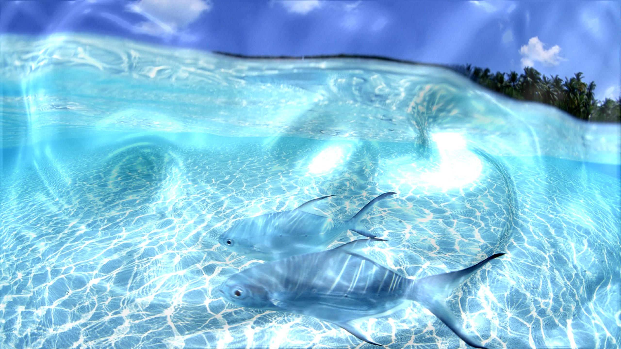 Watery Desktop 3d Live Wallpaper