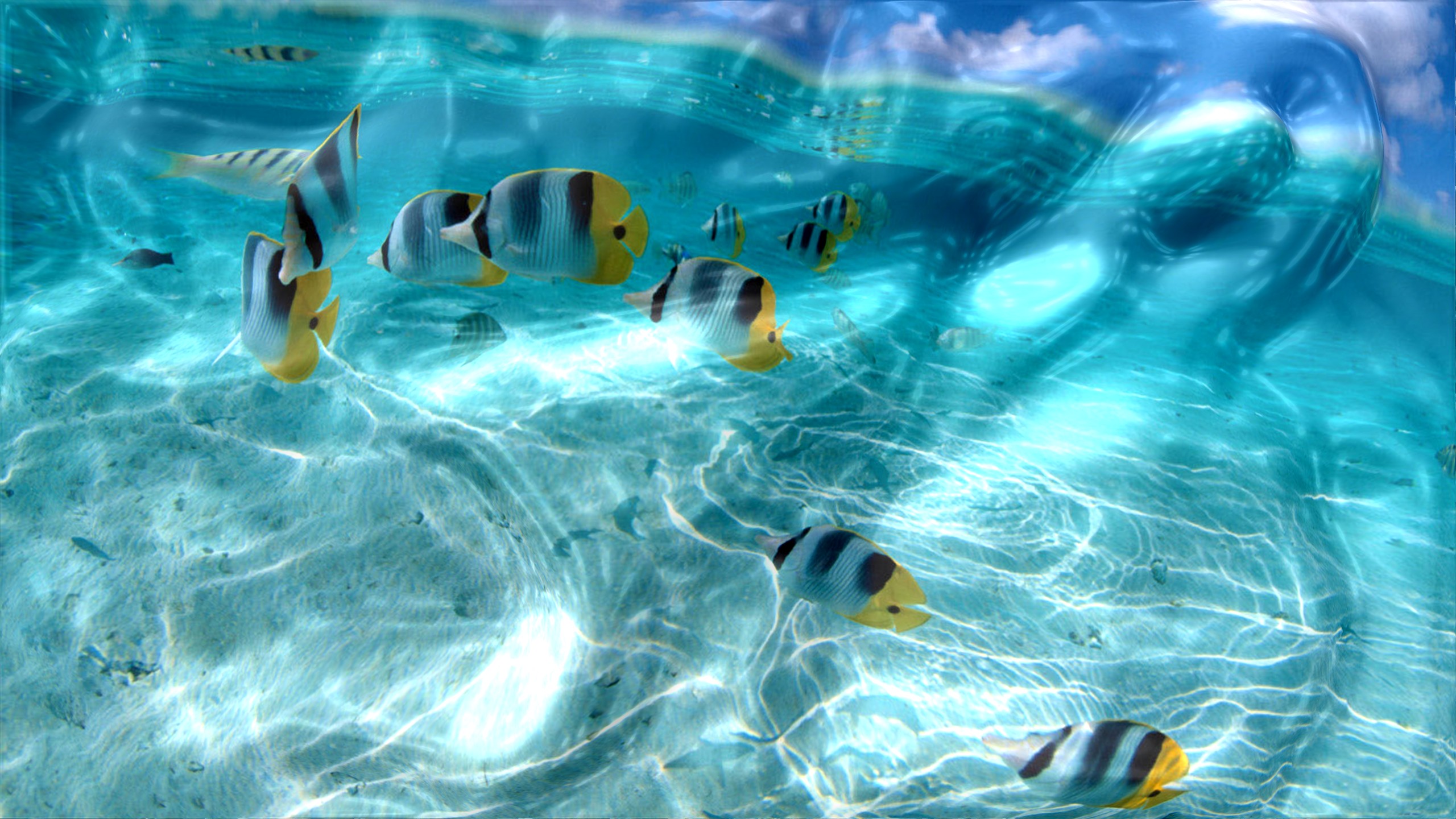 Watery Desktop Screensaver
